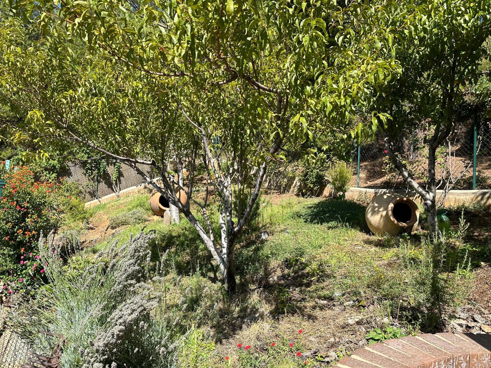 Casas Rurales Cerro Lobo Yeste Esterno foto