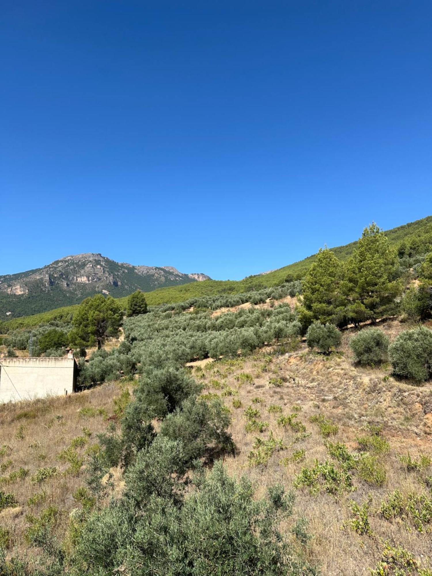 Casas Rurales Cerro Lobo Yeste Esterno foto